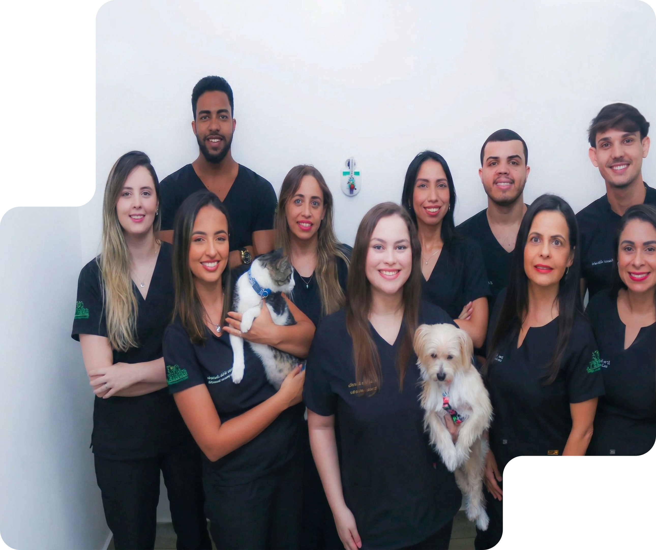 Funcionários da Guavet